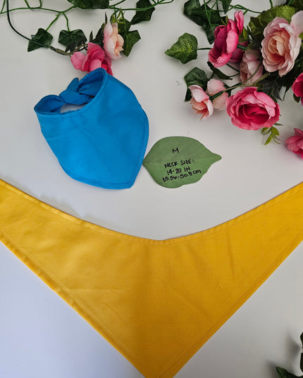 Mystery Dungeon Rescue Team Bandana Scarves