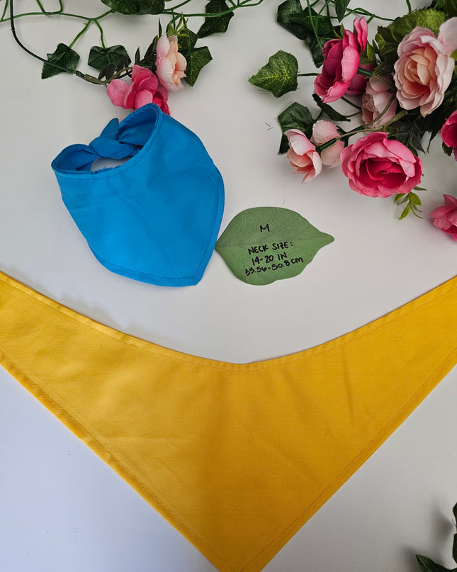 Mystery Dungeon Rescue Team Bandana Scarves