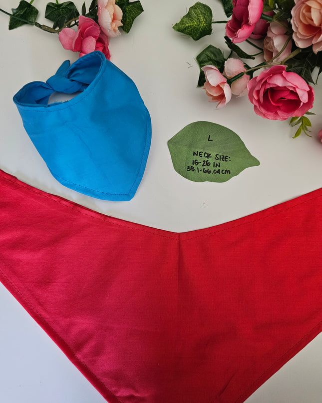 Mystery Dungeon Rescue Team Bandana Scarves