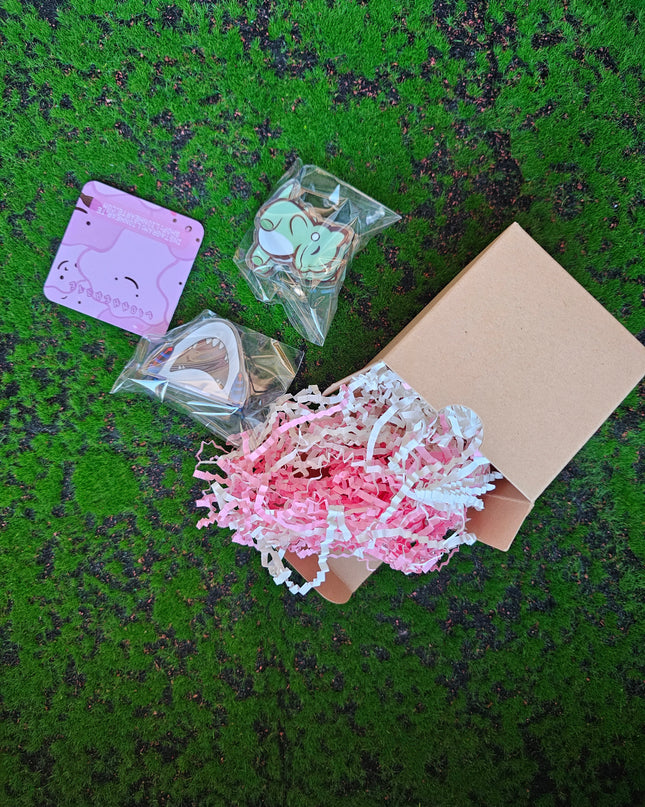 MYSTERY BOX: Bag / Binder Clips