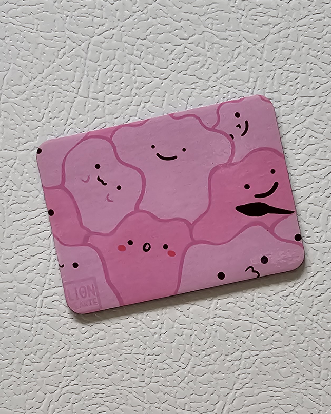 Pokemon Magnets