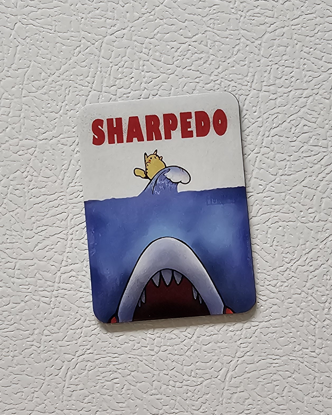 Pokemon Magnets